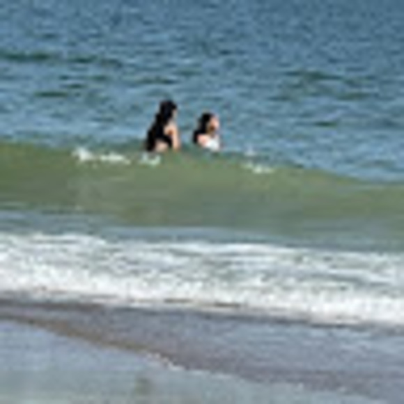 Meet your Posher, Morgan - Picture 1 of 1